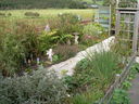 DSCN0302_1783721057.jpg