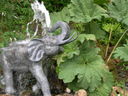 DSCN0308_1783722563.jpg
