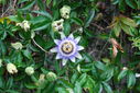 Filename=DSC_0023_1783892443.jpg
Filesize=361KiB
Dimensions=800x537
Date added=Mar 24, 2014 DSC_0023_1783892443.jpg