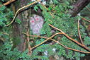 DSC_0032_edited_1783881111.jpg
