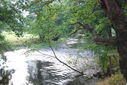 DSC_0061_1784731576.jpg