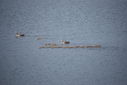 Filename=Day_2_it_rained_2499148131.jpg
Filesize=279KiB
Dimensions=800x537
Date added=Mar 24, 2014 Day_2_it_rained_2499148131.jpg