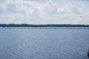 KAS_DAY_4_2505843040.jpg