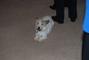 Madge_s_KAS_Mini_Reunion_5255326020.jpg