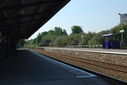 Filename=KAS_Somerset_Reunion_5901256800.jpg
Filesize=284KiB
Dimensions=800x537
Date added=Mar 24, 2014 KAS_Somerset_Reunion_5901256800.jpg