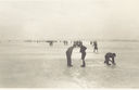 Tom_Wilcox_s_Photos_2_7794591956.jpg
