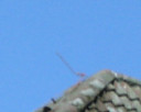 Magnified_L-C.jpg