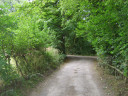 SV200135.JPG