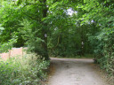 SV200136.JPG
