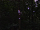 SV200138.JPG