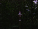 SV200139.JPG