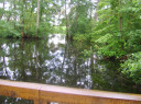 SV200870.JPG