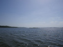 normal_Gull_Island~0.jpg