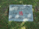 normal_Oak_Tree_Plaque.jpg