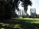 normal_P8180015.JPG