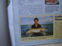 normal_SV200846.JPG