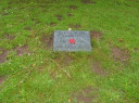 normal_SV200861.JPG