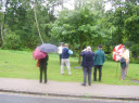 normal_SV200863.JPG