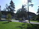 thumb_P8180023~0.JPG