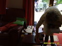 thumb_SV200108~0.JPG