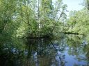 Filename=MiniLake1.jpg
Filesize=1476KiB
Dimensions=2000x1500
Date added=May 22, 2018 MiniLake1.jpg