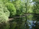 Filename=MiniLake2.jpg
Filesize=1493KiB
Dimensions=2000x1500
Date added=May 22, 2018 MiniLake2.jpg