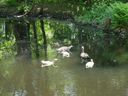 Filename=MiniLake3.jpg
Filesize=1016KiB
Dimensions=2000x1500
Date added=May 22, 2018 MiniLake3.jpg
