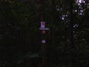 Filename=SV200138.JPG
Filesize=426KiB
Dimensions=800x600
Date added=Mar 16, 2014 SV200138.JPG