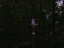 SV200139.JPG