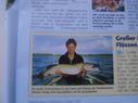 SV200845.JPG