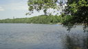 Filename=DSC02165.JPG
Filesize=553KiB
Dimensions=2046x1152
Date added=May 31, 2018 DSC02165.JPG