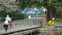Filename=DSC02181.JPG
Filesize=485KiB
Dimensions=2046x1152
Date added=May 31, 2018 DSC02181.JPG