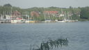 Filename=DSC02229.JPG
Filesize=361KiB
Dimensions=2048x1153
Date added=May 31, 2018 DSC02229.JPG