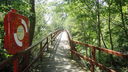 Filename=DSC02271.JPG
Filesize=770KiB
Dimensions=2046x1152
Date added=May 31, 2018 DSC02271.JPG