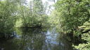 Filename=DSC02272.JPG
Filesize=872KiB
Dimensions=2046x1152
Date added=May 31, 2018 DSC02272.JPG