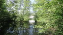 DSC02273.JPG