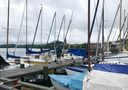 Filename=IMG_4316.JPG
Filesize=461KiB
Dimensions=2048x1442
Date added=Jul 06, 2017 IMG_4316.JPG