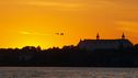 plon-1064706_960_720.jpg