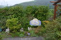 Filename=Welsh_reunion_2013_10035462063.jpg
Filesize=434KiB
Dimensions=800x530
Date added=Mar 24, 2014 Welsh_reunion_2013_10035462063.jpg