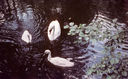 Filename=RF14.jpg
Filesize=628KiB
Dimensions=1600x990
Date added=Jul 30, 2014 RF14.jpg