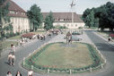 RF31.jpg