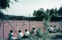 RF81.jpg