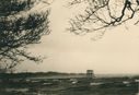 Filename=RF_choppy_water_on_the_lake.jpg
Filesize=622KiB
Dimensions=1600x1093
Date added=Aug 28, 2014 RF_choppy_water_on_the_lake.jpg