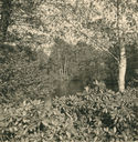 Filename=RF_small_lake_3.jpg
Filesize=607KiB
Dimensions=1568x1600
Date added=Aug 27, 2014 RF_small_lake_3.jpg