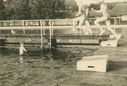 Filename=RF_swimming_2.jpg
Filesize=644KiB
Dimensions=1600x1082
Date added=Aug 29, 2014 RF_swimming_2.jpg