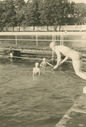 Filename=RF_swimming_3.jpg
Filesize=611KiB
Dimensions=1086x1600
Date added=Aug 29, 2014 RF_swimming_3.jpg