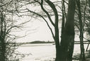 Filename=RF_view_over_frozen_lake_to_Ploen.jpg
Filesize=569KiB
Dimensions=1600x1081
Date added=Sep 29, 2014 RF_view_over_frozen_lake_to_Ploen.jpg