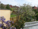 Filename=MW99.JPG
Filesize=178KiB
Dimensions=1100x828
Date added=Apr 21, 2025 MW99.JPG