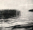 Lake_Scene.jpg