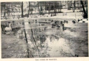 Filename=Pond_in_Winter_57.jpg
Filesize=75KiB
Dimensions=694x483
Date added=Mar 24, 2025 Pond_in_Winter_57.jpg